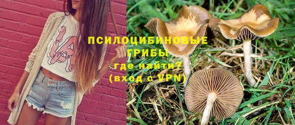 первитин Медвежьегорск