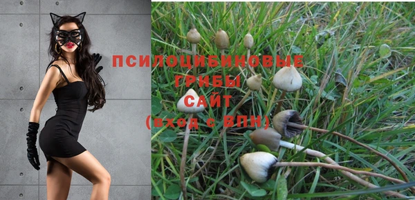 первитин Медвежьегорск