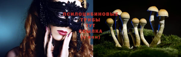 ECSTASY Михайлов