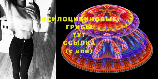 первитин Медвежьегорск