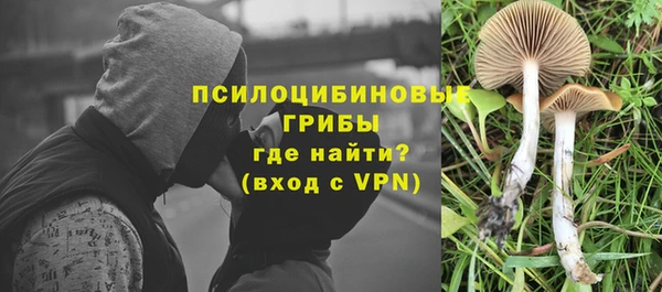 первитин Медвежьегорск