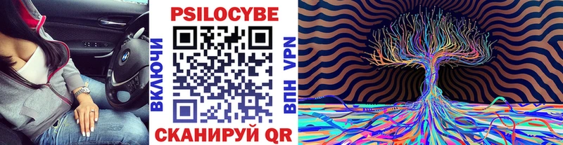 гидра ссылка  Александровское  Псилоцибиновые грибы Magic Shrooms 
