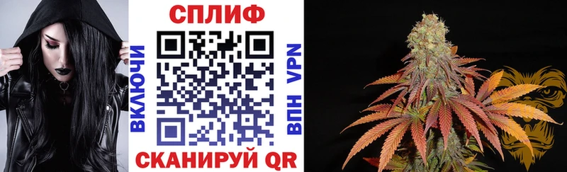 блэк спрут зеркало Александровское Канабис Bruce Banner